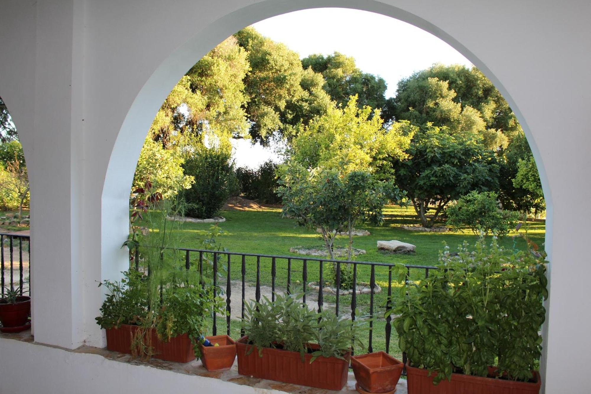Cortijo El Indiviso Guest House Vejer de la Frontera Bilik gambar