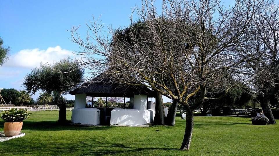 Cortijo El Indiviso Guest House Vejer de la Frontera Luaran gambar